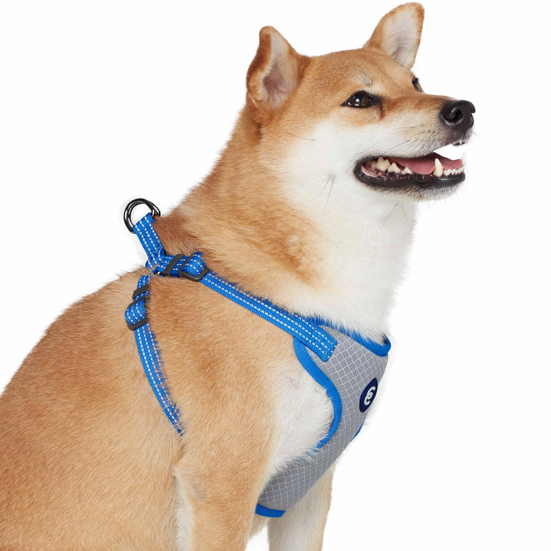 Blueberry Pet Essentials Reflective Dog Harness, Leash & Collar Set for Medium Dogs, French Blue, Adjustable Dog Harness & 5 ft Dog Leash, Puppy Essentials, Dog Collars for Small Dogs French Blue - Collar + Leash + Harness - PawsPlanet Australia