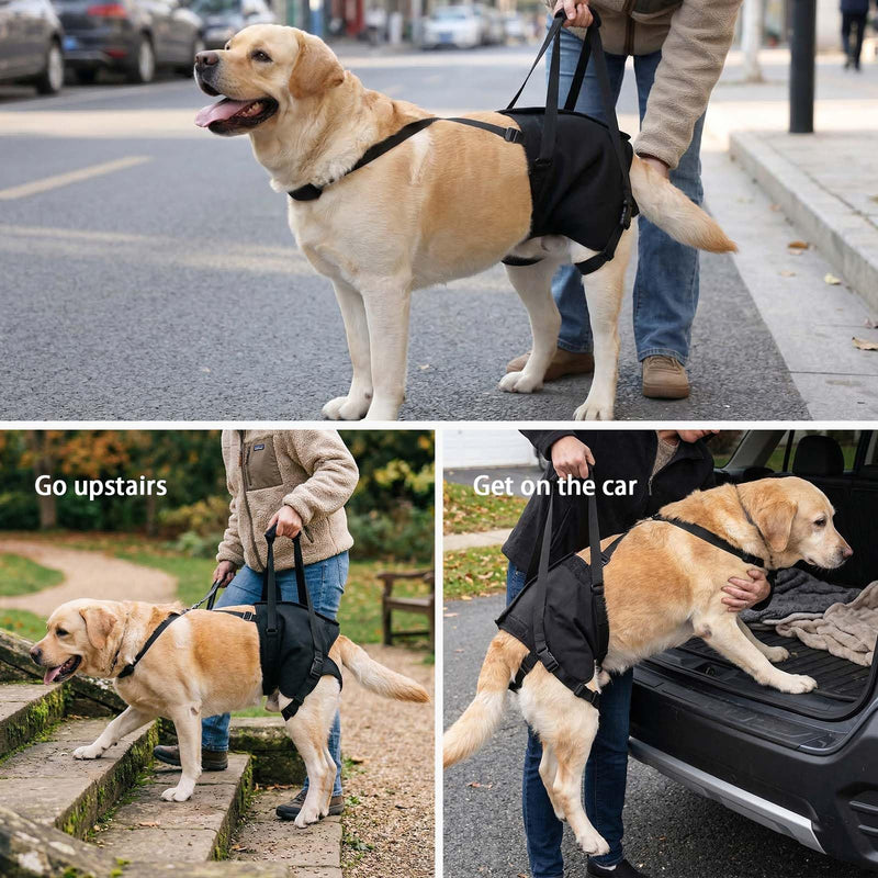 NOYAL Dog Lift Sling for Large Dogs – Hind Leg Support Harness for Senior, Injured, Disabled Dogs, Rear Leg Mobility Aid, Padded Handle for Stairs, Car, Walk Black Small