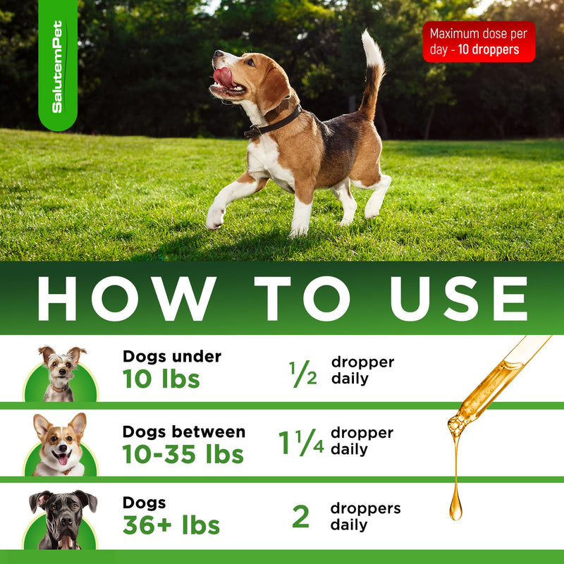 Natural Antibiotics for Dogs | Dog Antibiotics | Supports Dog Allergy Relief | Dog Itch Relief | Dog Allergy Support | Dog Multivitamin | Pet Antibiotics | Dog Antibiotics | 2 Oz Chicken - PawsPlanet Australia