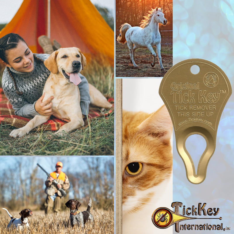 The Original Tick Key - Tick Detaching Device - Portable, Safe and Highly Effective Tick Detaching Tool 3 Pack (Assorted) Random Assorted - PawsPlanet Australia