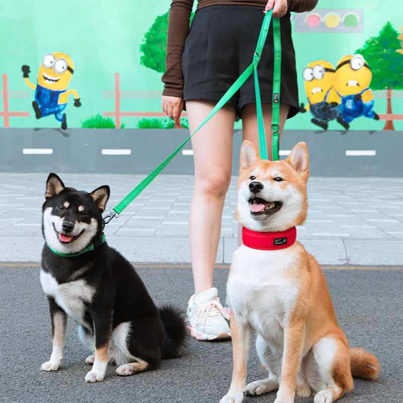 EXCELLENT ELITE SPANKER Reflective Dual Leash - 5FT Double Dog Leash with Padded Handle for Two Dogs Walking & Training (Red) 5ft x 3/4 in. Red - PawsPlanet Australia