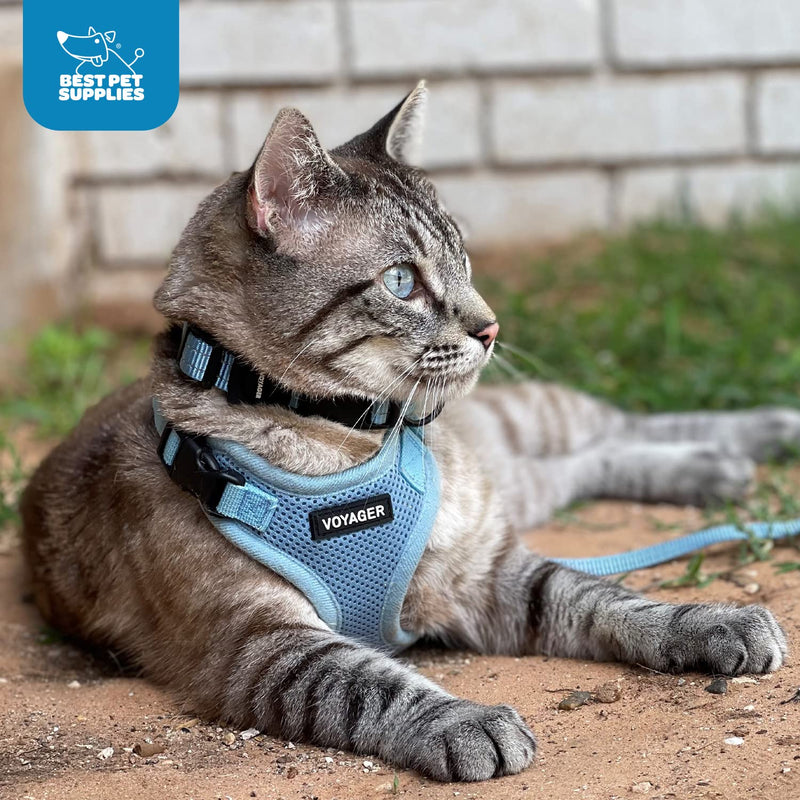 Voyager Step-in Lock Dog Harness w Reflective Dog Leash Combo Set with Neoprene Handle 5ft - Supports Small, Medium and Large Breed Puppies/Cats by Best Pet Supplies - Turquoise, XS - PawsPlanet Australia