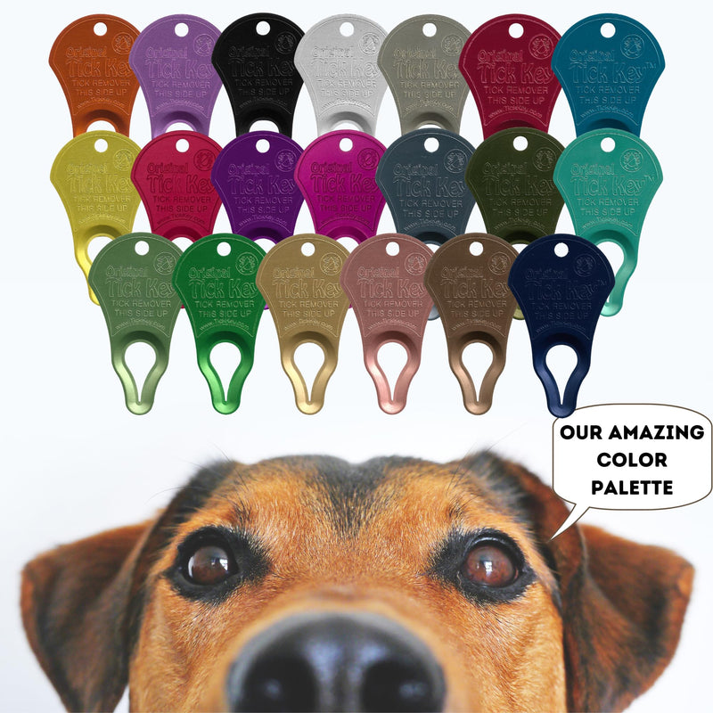 The Original Tick Key - Tick Detaching Device - Portable, Safe and Highly Effective Tick Detaching Tool (Assorted) Multi - PawsPlanet Australia
