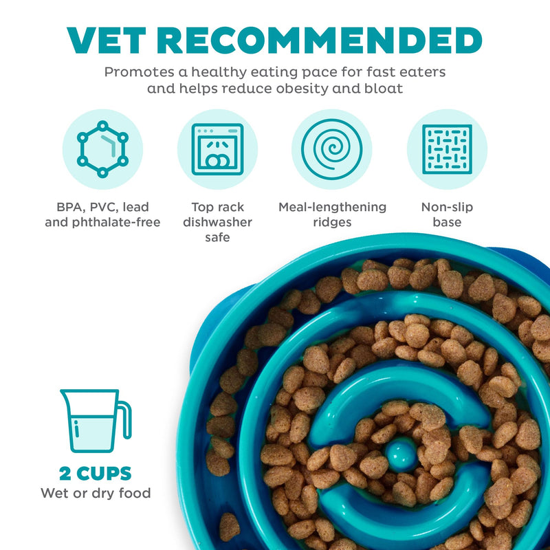 Outward Hound Fun Feeder Slo Bowl, Slow Feeder Dog Bowl, Medium/Mini, Turquoise - PawsPlanet Australia