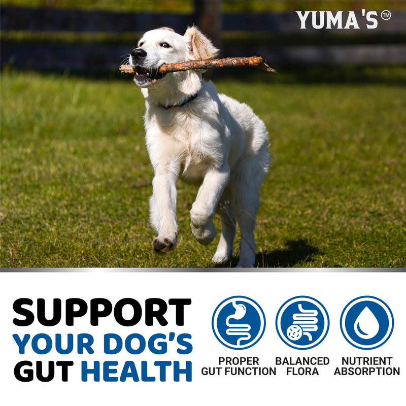 YUMA'S Natural Probiotics for Dogs: Crafted in USA with Pumpkin and Enzymes - Soft Chews for Digestive Wellness and Gut Health - PawsPlanet Australia