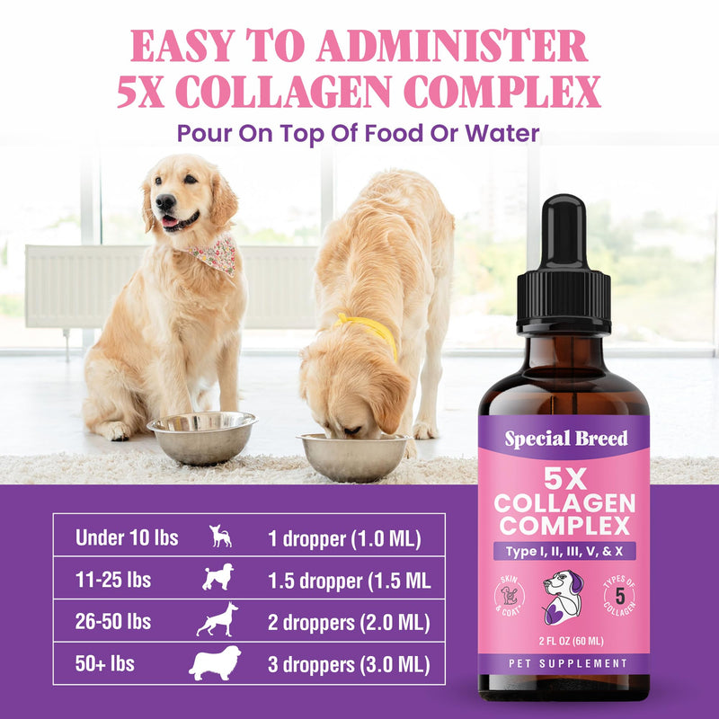 Premium Collagen for Dogs - Liquid Support for Joints, Skin, Coat, Bone, Immune System & HIPS - Collagen Supplement - Made in USA - 2oz 2 Ounce