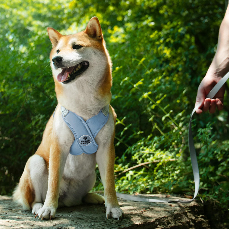 Patas Lague Dog Harness with Leash Set Adjustable Soft Padded Step-in Dog Vest No Choke No Pull Reflective for Small Medium Pets with Poop Bags and Dispenser, Solid and No-chew, Blue M M (Neck 19.3-23.3'' Chest 22.5-25.6'') - PawsPlanet Australia