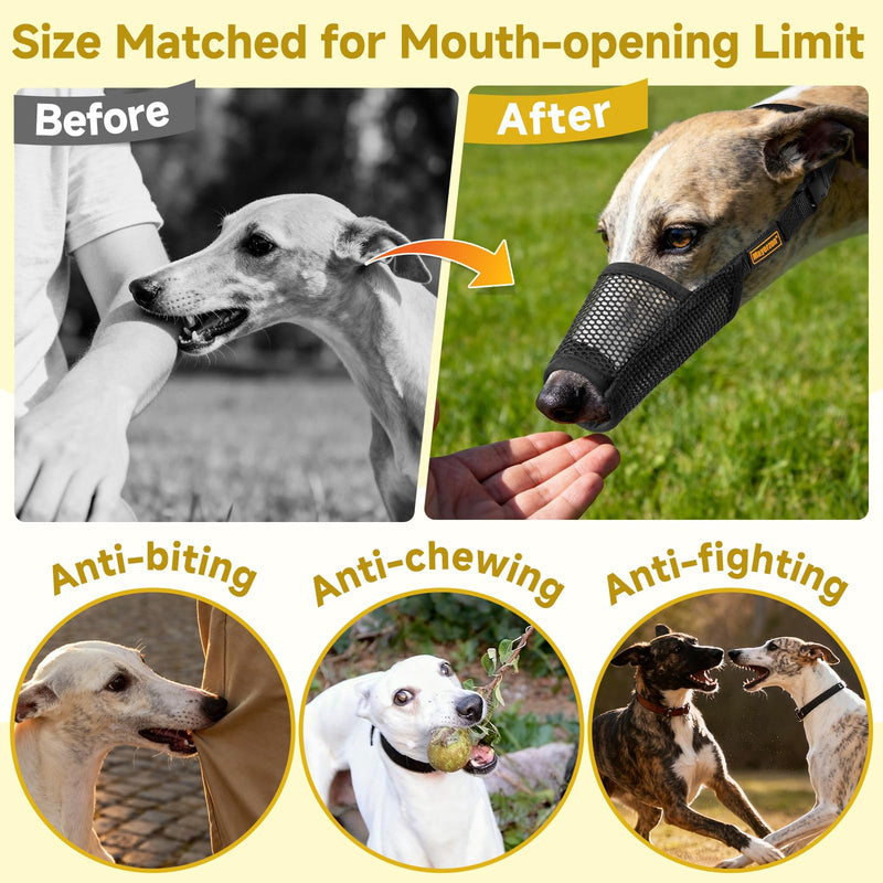 Mayerzon Greyhound Whippet Dog Muzzle, Soft Mesh Muzzle for Long Nose Dogs to Prevent Excessive Biting Chewing Eating, Suitable for Grooming Walking Vet Visits, Allowing Drinking Breathing (Black, L) Black L [Snout Cir: 8.25-9.5"] - PawsPlanet Australia