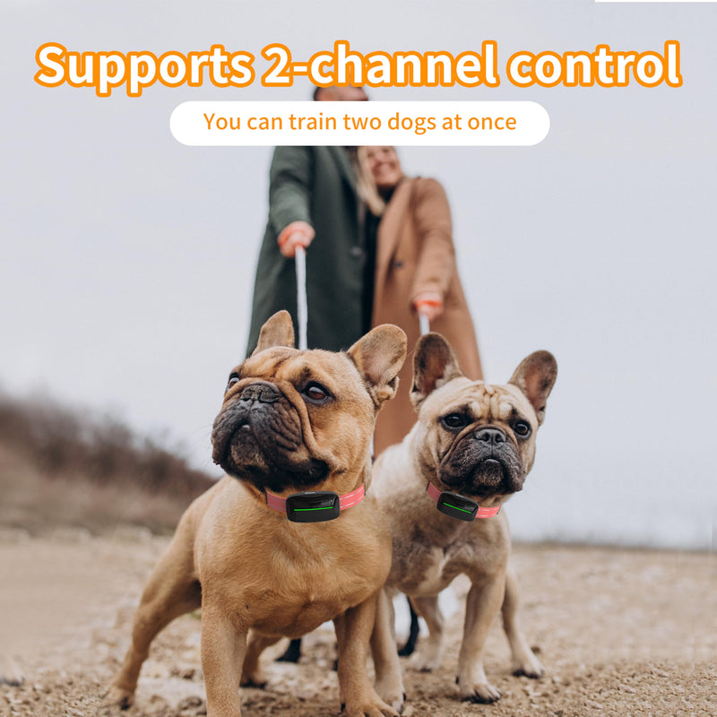 Dog Training Shock Collar 4300FT Dog Bark Collar with Remote IP67 Waterproof 4 Training Modes Beep Vibration Shock Light Mode Magnetic Charger Electric Dogs Collar 8-25 inches Double Shock Rose Bloom - PawsPlanet Australia