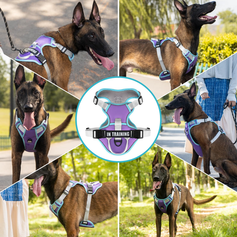 No Pull Dog Harness, Reflective Dog Vest Harness with Front & Back 2 Leash Clips, Oxford Pet Harness Adjustable Soft Padded Dog Vest with Easy Control Handle for Small Medium Large Dogs Small (Pack of 1) Purple - PawsPlanet Australia