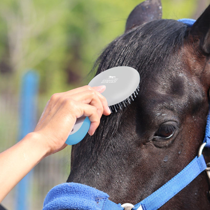 Harrison Howard Horse Mane and Tail Brush Horse Professional Grooming Brush Equestrian Detangler Non-Slip Brush Light Blue - PawsPlanet Australia