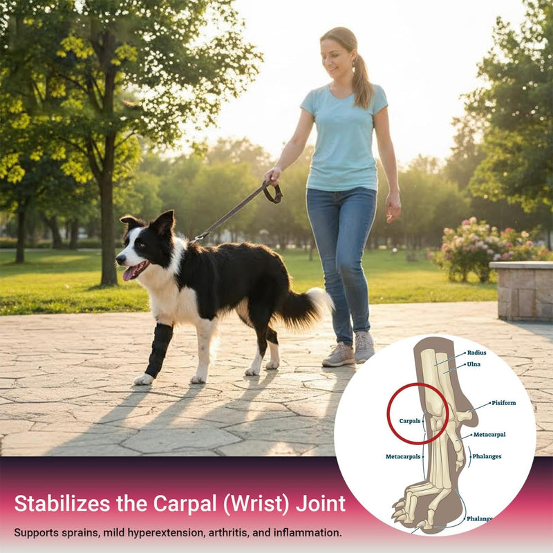 Pack of 2 Joint Bandage for Dogs, Ankle Bandage for Dogs, Dog Leg Wrap Leak Protection, Rear Leg Bandage for Front and Rear Legs, Prevent Licking, for Wound Healing Black-XL