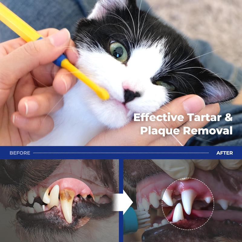 PETHROOM] Dental Micro Fiber Toothbrush for Pet | Small Dogs and Cats Teeth Brushing Cleaning Tooth Care | Soft Bristle Cleaning Toothbrush for Dog Puppy Cat (Extra Small) - PawsPlanet Australia
