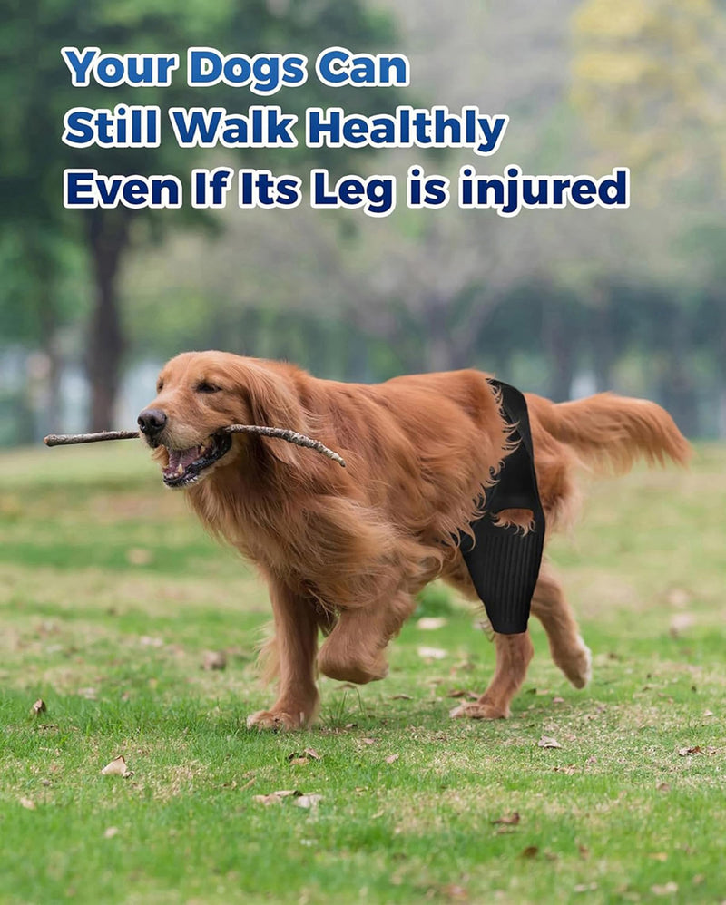 Dog Knee Brace, Dog ACL Brace for Front Torn and Back Hind Rear Legs ACL Tear, Dog Hip Knee Leg Brace for Hip Dysplasia, Dog Arthritis, Luxating Patella, Comfortable and Adjustable