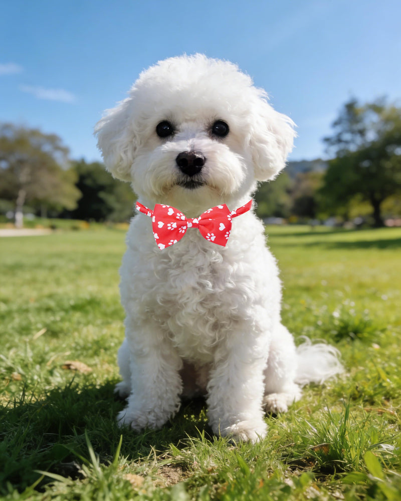 PET SHOW 30 Pack Small Dog Collar Bow Ties Bulk Puppy Paw Bone Adjustable Bowties for Large Medium Dogs Cats Bowknots Pet Grooming Accessories (Small) Paw Bowties S/M - PawsPlanet Australia