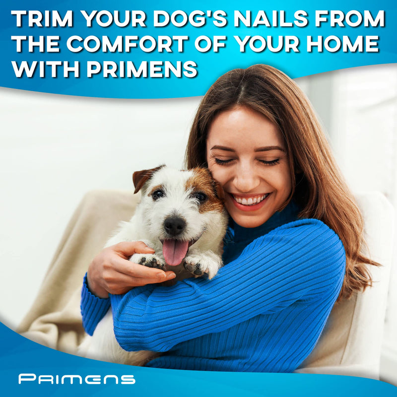 Primens Professional Dog Nail Grinder Replacement Head (Pack of 3 Bits) - Diamond Replaceable Tip for Pet Claw Grooming, Spare Grinding Wheel for Large, Medium & Small Dogs - PawsPlanet Australia