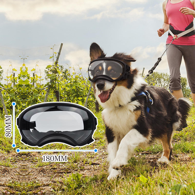 Pacify Dog Goggles for Large Dogs, UV Protection Dog Sunglasses with Adjustable Strap for Medium Large Dog Pet Glasses (Clear) Clear - PawsPlanet Australia
