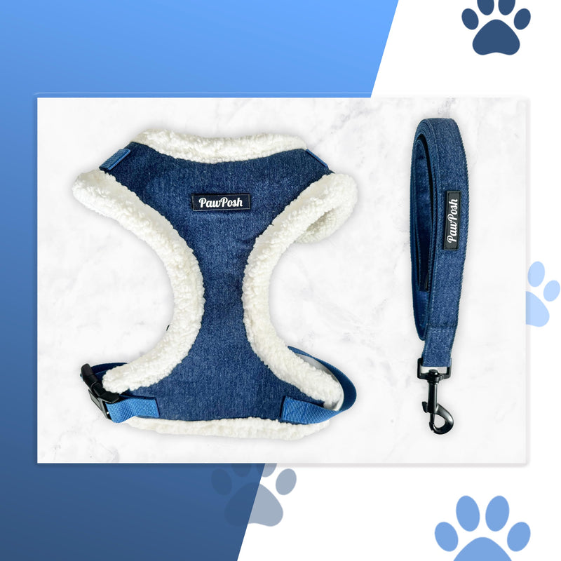 Luxury Winter Warm Soft Padded Dog Harness and Leash Set - Cute Dog Harness - Denim Harness for Small Dogs, Puppies, Large & Medium Breeds - Anti Pull Adjustable Harness for Boys & Girls (X-Small) X-Small - PawsPlanet Australia