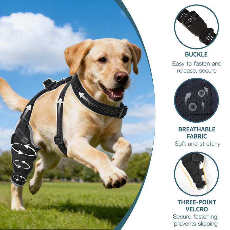 Dog Knee Braces for Back Leg, Dual-Use for Hot/Cold Compress Relieves Acute Joint Pain and ACL Injuries, Includes Removable Gel Ice Pack Suitable for Medium to Large Dogs, Right Leg M