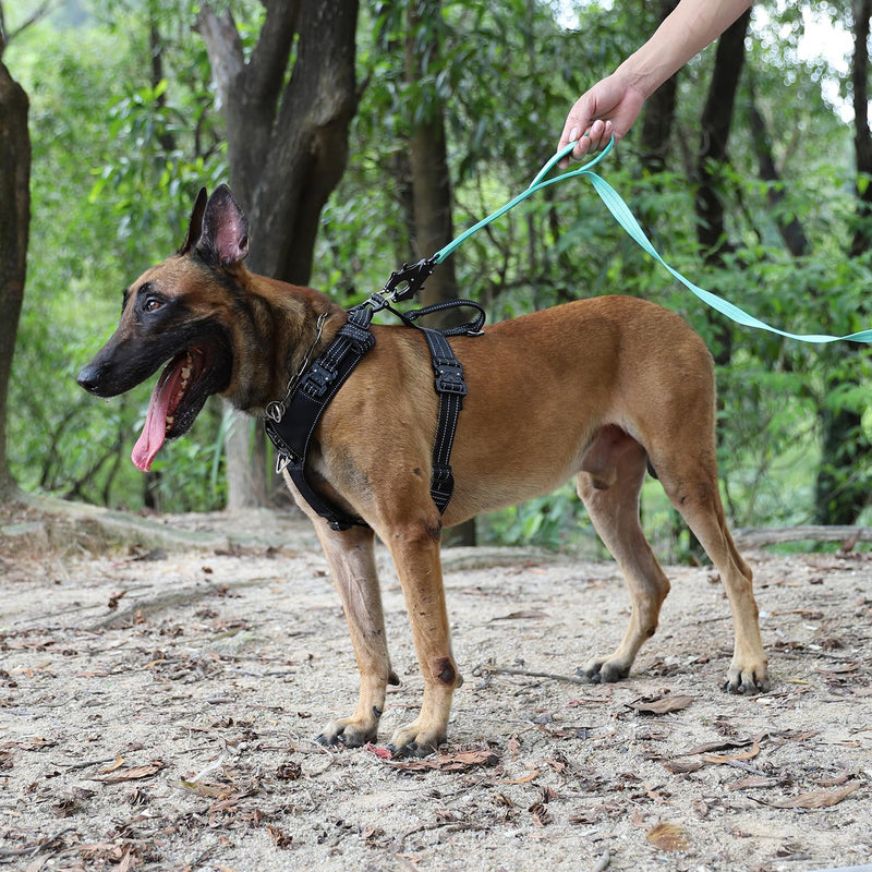 ICEFANG Relfective Dog Leash for Medium Large Dogs,K9 Training Walking Lead with Double Handle,Heavy Duty Auto-Lock Metal Clasp (6ft, Teal) 6 ft (No bungee) - PawsPlanet Australia