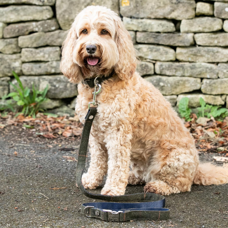 HUGO & HUDSON x HACKETT Tweed Dog Lead Padded Handle, Dark Green Checked Herringbone, 120 x 2.5cm M/L - PawsPlanet Australia