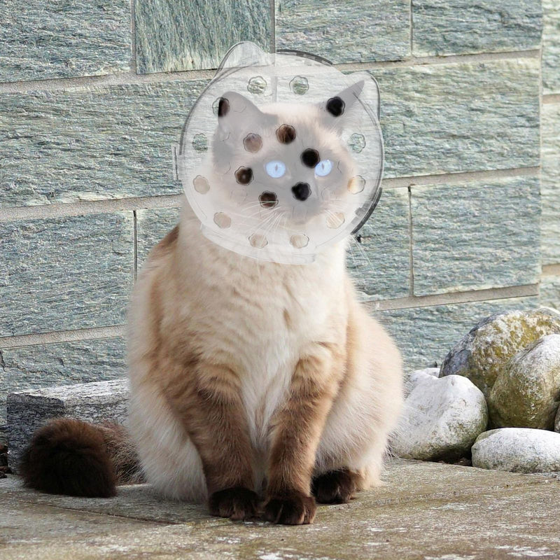 SOLUSTRE Breathable Cat Helmet with Bite Protection made of ABS Unique and Cute Design Wide Field of Vision for Cats for Grooming and Healing