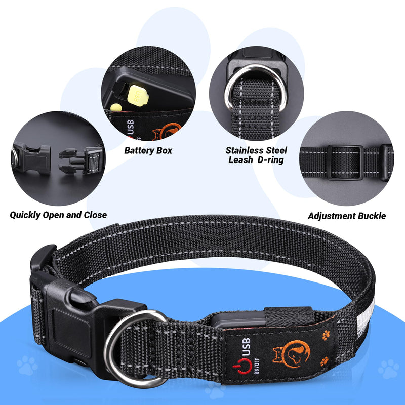 Light Up Dog Collar, USB Rechargeable, Waterproof LED Dog Collar with Remote Control, Adjustable Strap, Suitable for Small, Medium, and Large Dogs (Medium) - PawsPlanet Australia