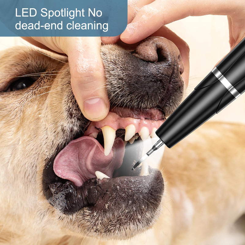 Upgraded Dog Plaque Remover for Teeth, Electric Pet Teeth Cleaning Kit, USB Charging Dog Tooth Brushing Kit, 5 Modes, IPX6 Waterproof Pet Ultrasonic Toothbrush Cleaner for Dogs Cats - PawsPlanet Australia