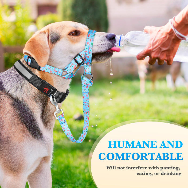 No-Pull Dog Head Collar, Print Head Halter Collar for Dogs, Gentle Lead to Stop Heavy Pulling, Anti-Pull Training Muzzle Leash for Easy Control on Walks (Blue, Small) Blue - PawsPlanet Australia