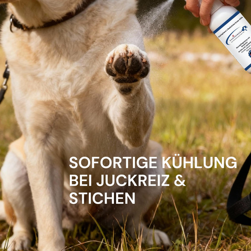 Pet Wound Care Spray - Natural Wound Spray for Dogs & Cats - Antiseptic, Cooling & Itch Relief - Ideal for Hot Spots, Insect Bites & Skin Irritations
