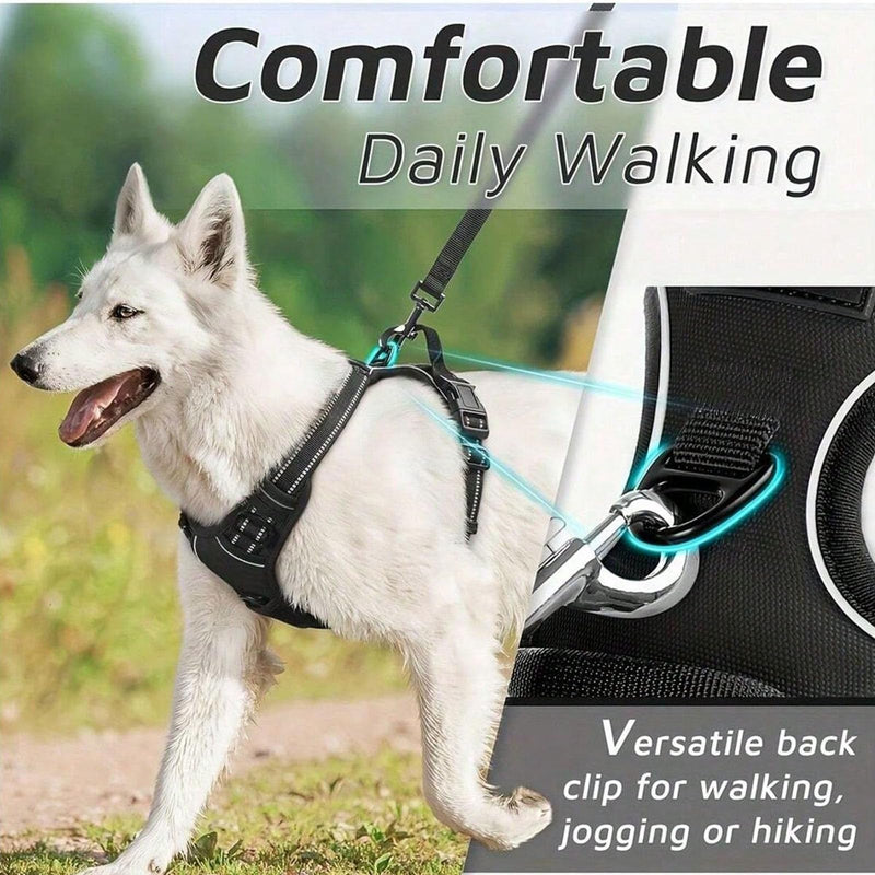 Dog Harness and Leash Set,Eflective and Breathable Pet Harness, Adjustable Comfortable Soft Padded Vest Harness Easy Control with a Free Heavy Duty 5ft Dog Leash. (Sky Bllue, Large) Sky Bllue - PawsPlanet Australia