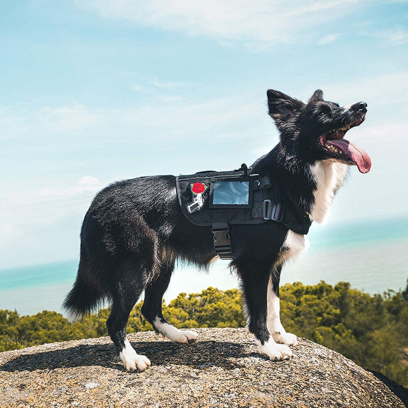 Service Dog Harness, Large Dog Harness Removable Neck Strap Compatible with Assistance Harness & Handle (Black, Short Version) Black Small - PawsPlanet Australia