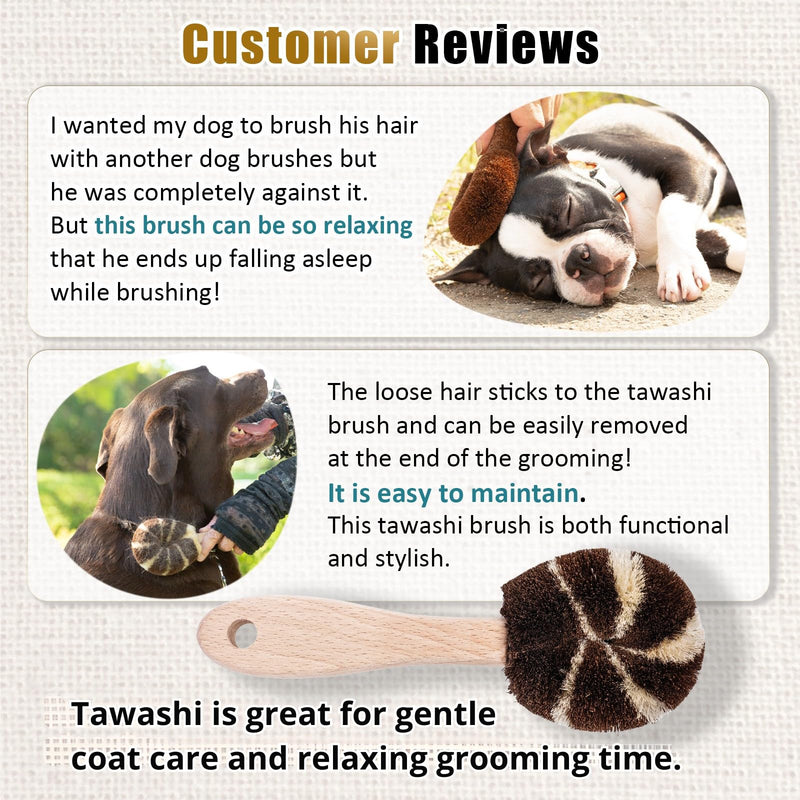 Natural Tawashi Dog Grooming & Massage Brush – Made in Japan, Gentle Palm Fiber Brush for Dogs, Relaxing Skin Stimulation, Low Static, Wooden Handle, Daily Dog Care Tool (Large Dog) Large dog