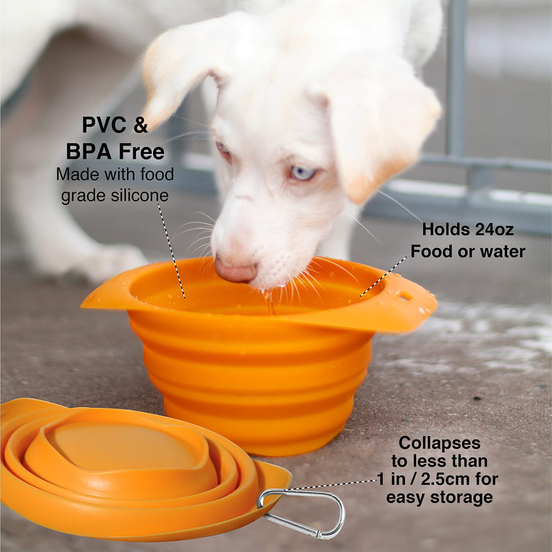 Collapsible Travel Dog Bowl, Pet Food & Hiking Water Bowl, Food Grade Silic1 Bowl for Dogs, Travel Accessories for Pets, BPA Free, Carabiner, Collaps a Bowl, Mash n’ Stash, Zippy Bowl (New Version) Regular Kurgo Blue