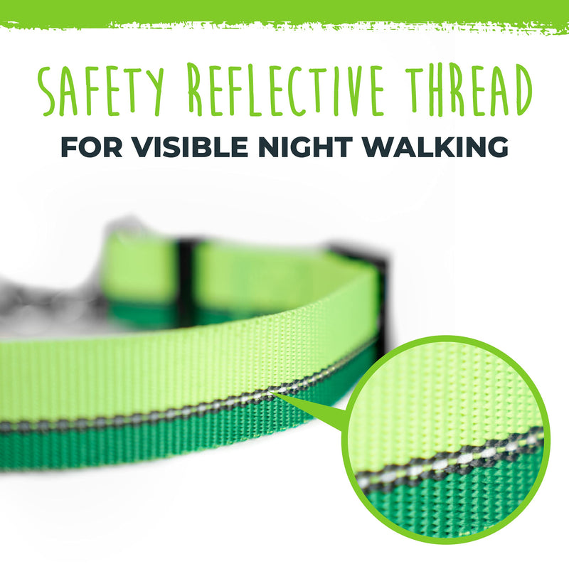 Mighty Paw Martingale Dog Collar 2.0 | Trainer Approved Limited Slip Collar with Stainless Steel Chain & Heavy Duty Buckle - Modified Cinch for Gentle & Effective Pet Training - Large, Green - PawsPlanet Australia
