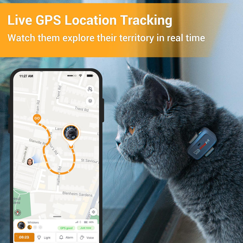 Lite for Cats 4g GPS Tracker | Real Time Tracking | Activity Monitoring |Location History | Unlimited Range | Safety Collar Included | Simply White - PawsPlanet Australia