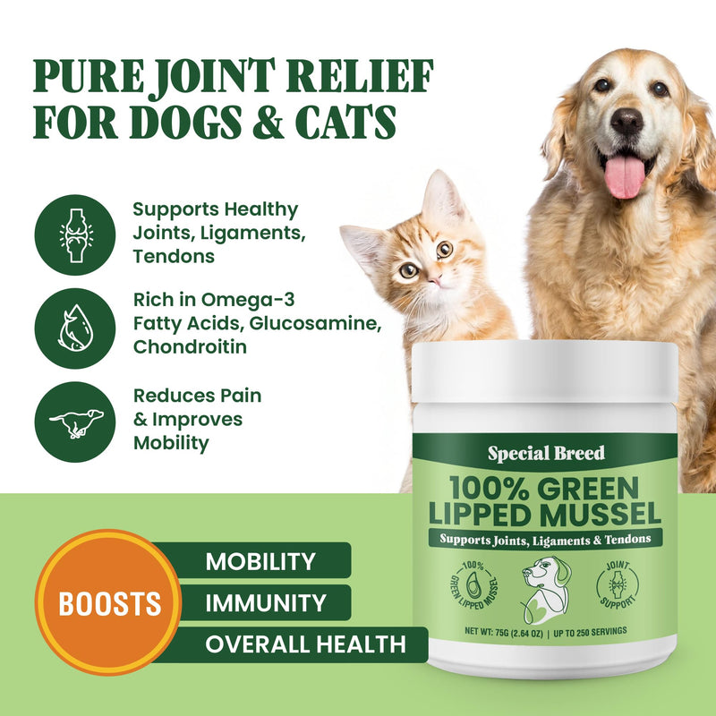 Green Lipped Mussel Powder for Dogs & Cats - 100% New Zealand Green Lipped Mussels - Natural Hip & Joint Supplement for Joints, Tendons, Ligaments, Muscles - 75 Grams - Up to 250 Servings