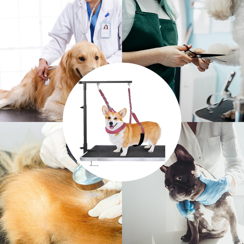 3-Piece Dog Harness Strap - Strong Endurance, Adjustable Restraint Belly Strap for Table Arm Grooming (Black) Black