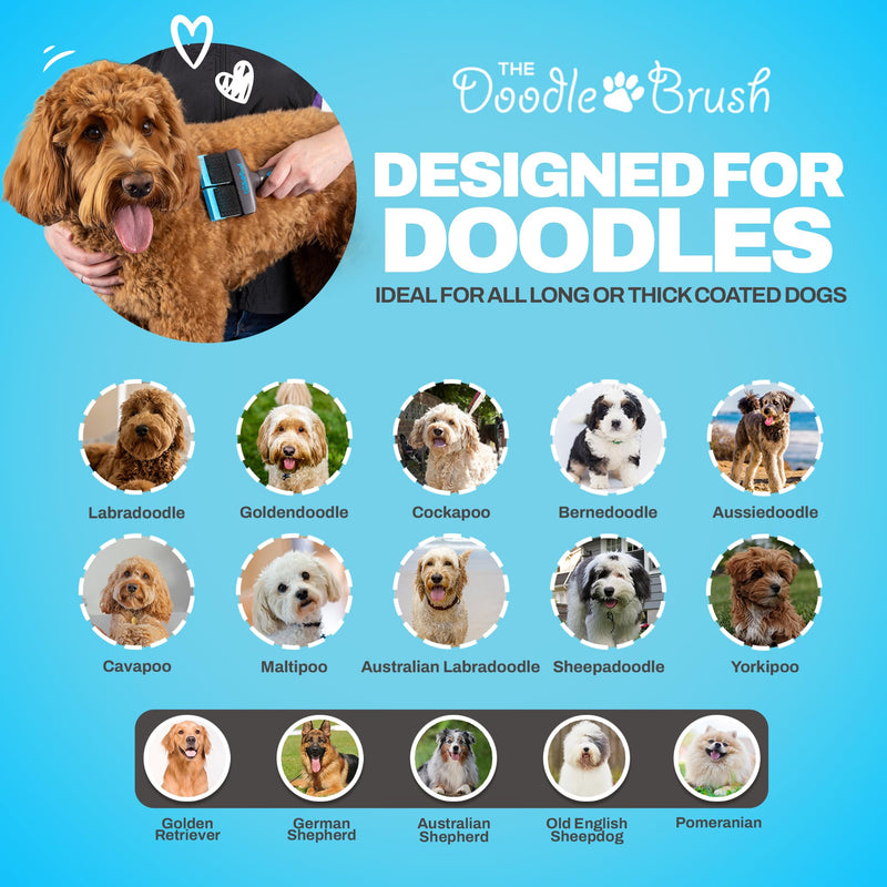 Doodle Brush for Dogs - Dog Hair Brush, Dog Brush for Poodles, Goldendoodle Brush, Bernedoodle - Flexible Head Slicker Brush for Dogs, Poodle Brush, Labradoodle Brush, Sheepadoodle - Dual Head Blue Double Head - PawsPlanet Australia