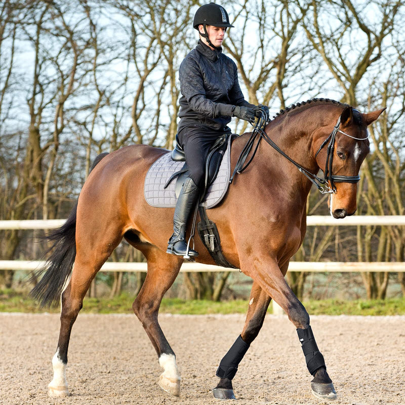 HORZE Brushing Splint Boots for Horses (Pair) - Durable Neoprene, Secure Closure, Lightweight - Black - XL - PawsPlanet Australia