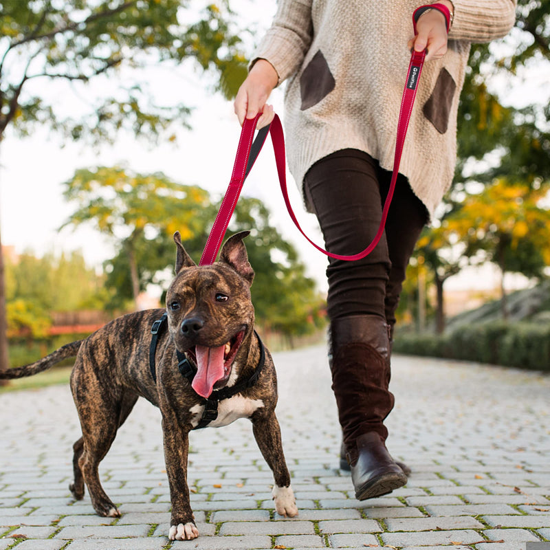 PetiFine 4FT Heavy Duty Dog Leash with Soft Padded Double Handle, Durable Strong Clasp Dog Leashes, Reflective Nylon Walking Lead for Large,Medium,Small Breed Dogs, Red 4 FT x 1 in Wide - PawsPlanet Australia