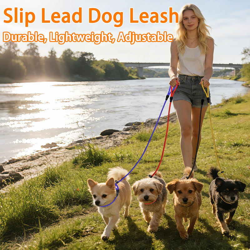 11-Piece Adjustable Dog Slip Leads 11 Colors, Adjustable - Easy On/Off, No Collar Needed, Standalone Use. Matches Outfits/Themes/Weather, High Value for Walking/Training