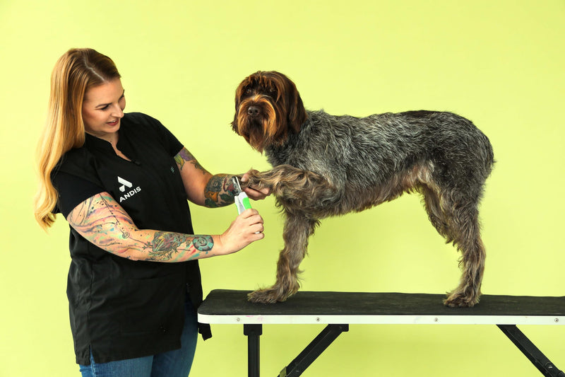 Andis 68575 Animal Nail Cutter for Small Breeds - Stainless Steel Blades with Sharp Efficiency - Designed for Repeated Use & Recommended by Pet Trainers – Medium Size & White/Green New Version - PawsPlanet Australia