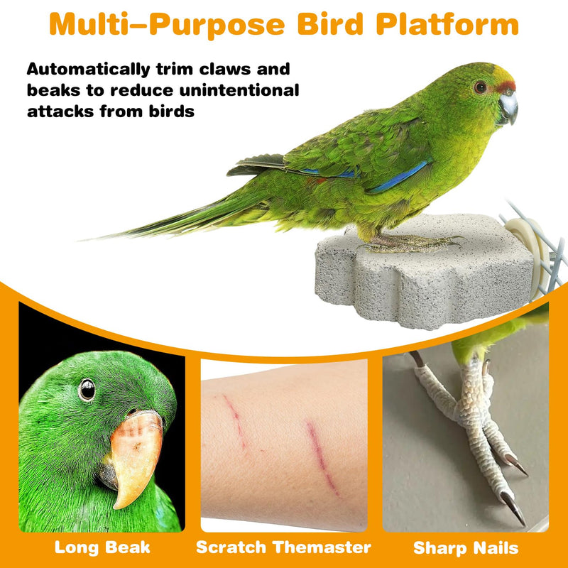 PINVNBY 4 PCS Bird Perches Calcium Parrot Perch Stand Bird Beak Grinding Stone Foot Claws Trimmer Parrot Chewing Toys Bird Cage Accessories for Budgie Cockatiel Conure Lovebird Finch Style 1: 4 pcs