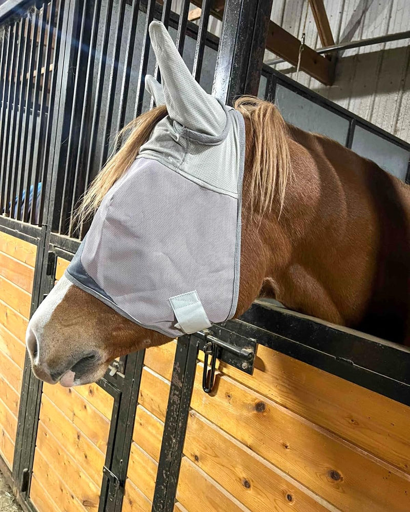 Horse Fly Mask Breathable with UV Protection Mesh for Horse - PawsPlanet Australia