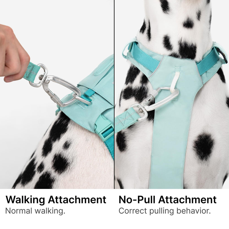Dog Harness, Lightweight No Pull Vest Harness, Pet Harness with Pocket, Dog Vest with Two Leash Attachment, Dog Training Harness for Outdoor Walking Running, Hiking (Midnight Black, M) Midnight Black - PawsPlanet Australia