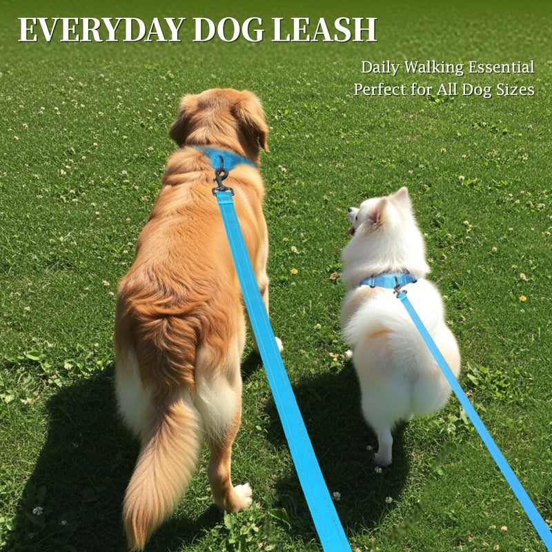 VIVAGLORY Dog Leash Dailyx Pet Leash with Soft Padded Handle for Training & Walking, Heavy Duty & Double Layer Nylon for Pet Puppy, 4ft x 1in, Lake Blue Leash (4 ft. x 1 in.) - PawsPlanet Australia