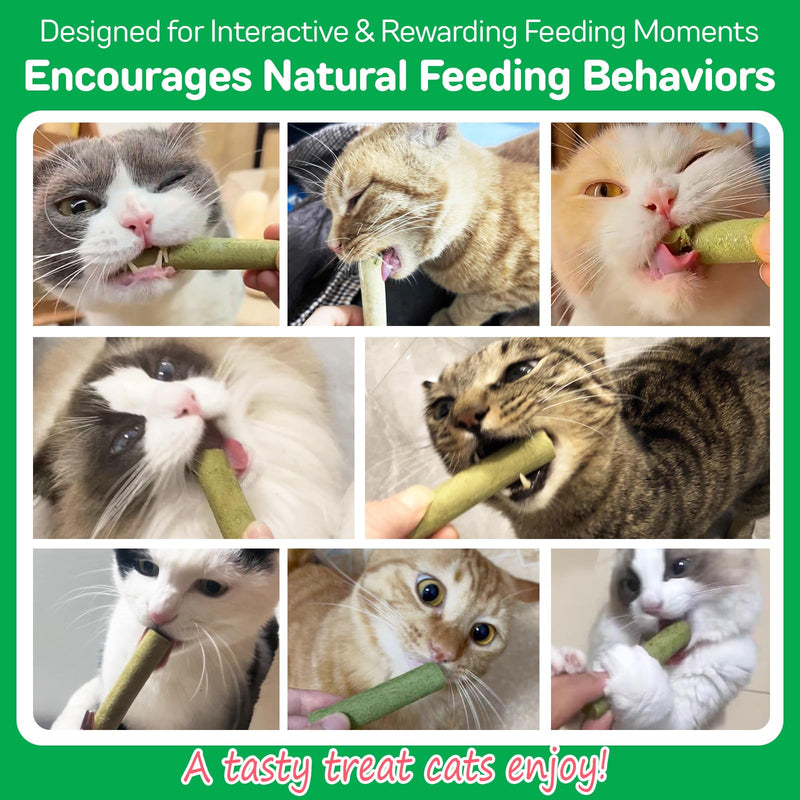 Cat Grass Sticks, Cat Grass Teething Sticks, Natural Oral Hygiene, Cat Treats for Teeth Cleaning and Hairball Removal - 60g