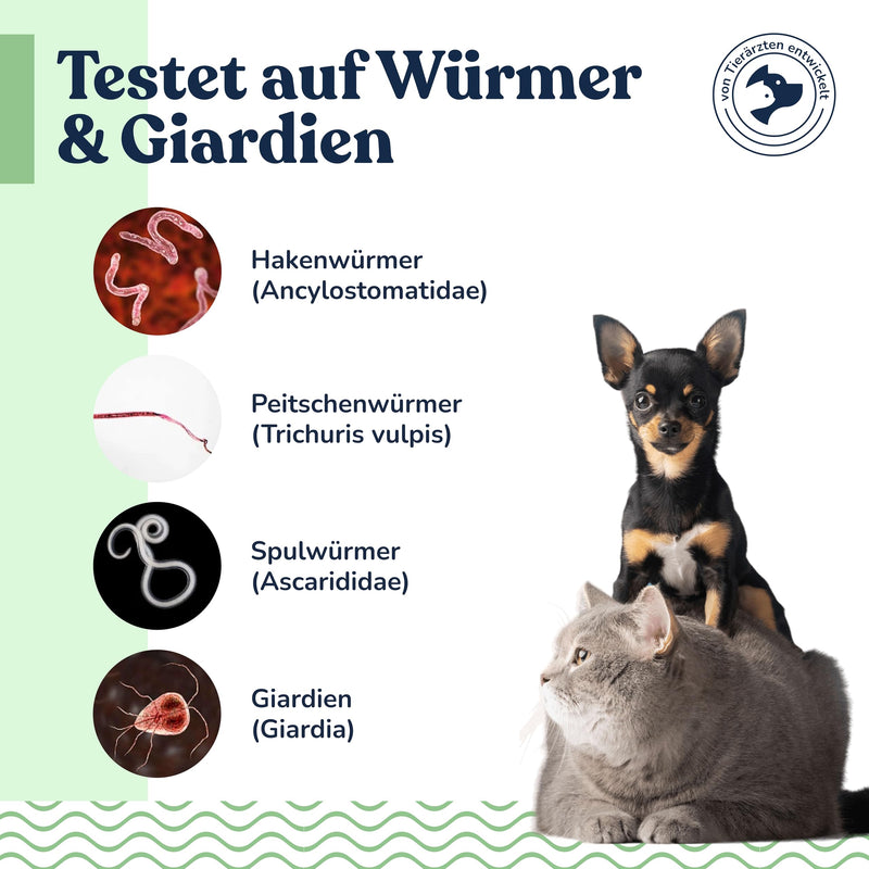 felmo Worm Test Kit for Dogs & Cats - Test for Home with Laboratory Analysis for Hook, Whip & Roundworms as well as Giardia, Result in 2-3 Working Days