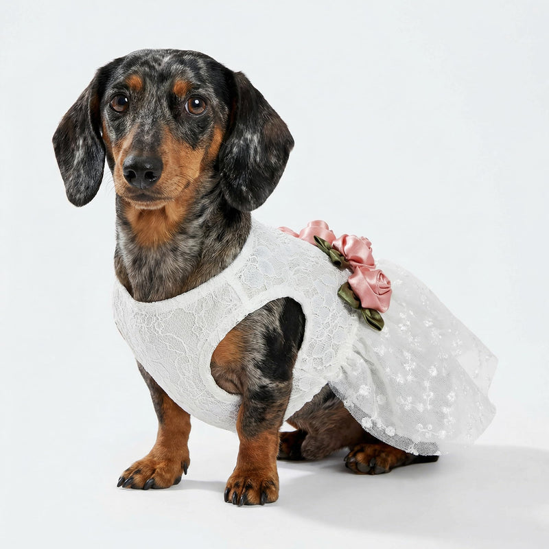 Fitwarm Luxury Rose Lace Pet Dog Weddding Dress Bride Clothes Formal Apparel, Medium White